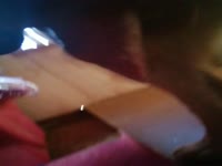 Pornbraze dog sex with a kinky babe